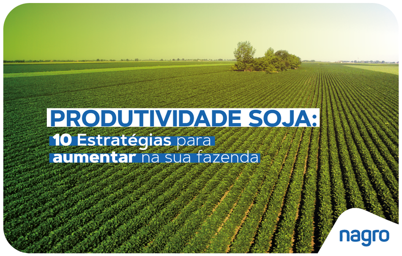 Produtividade Soja: 10 Estratégias para aumentar na sua fazenda