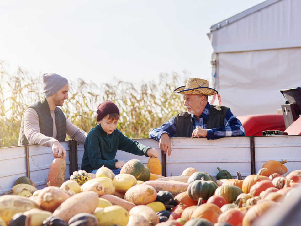 Crédito para Agricultura Familiar, o que é e quais são as linhas disponíveis