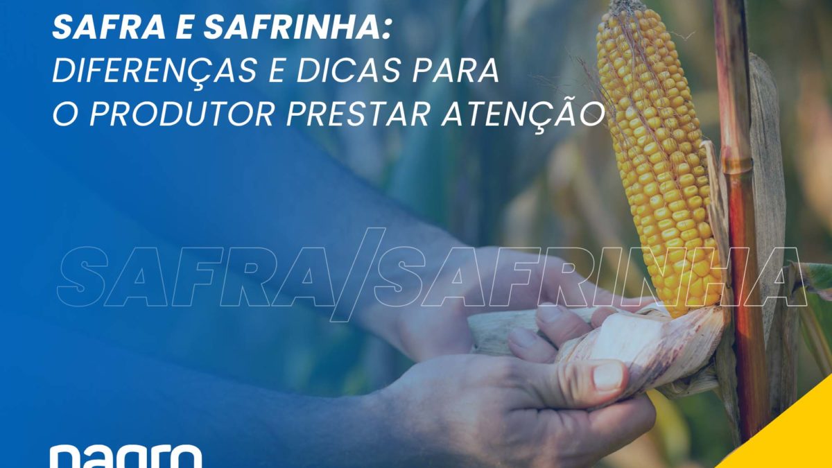 safra e safrinha