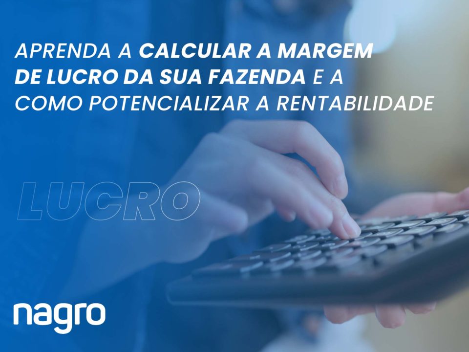 Aprenda a calcular margem de lucro na fazenda