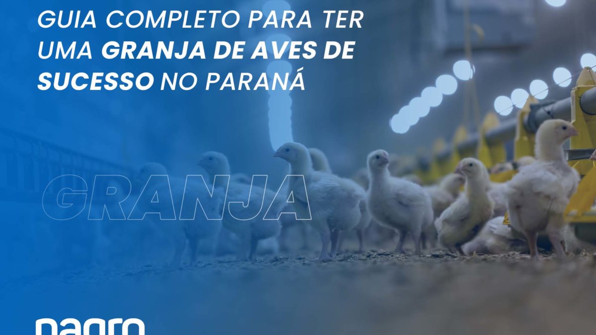 Grande de aves de sucesso no paraná