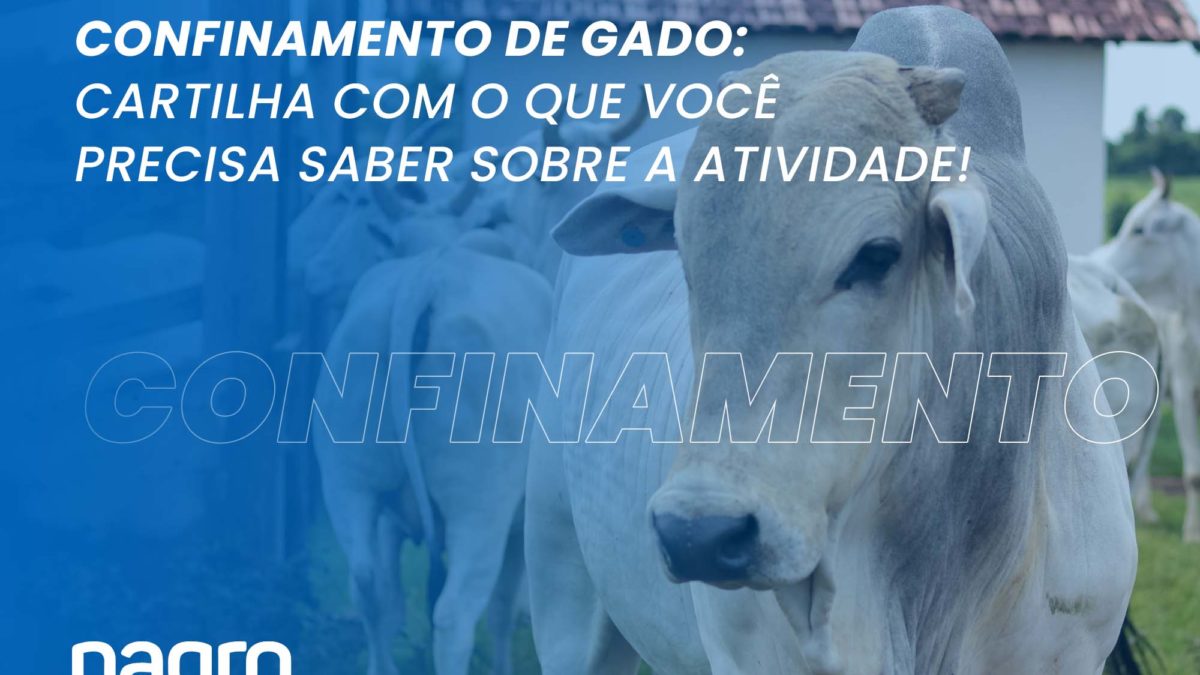 Saiba tudo sobre confinamento de gado